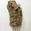 Parafa kéreg 35 cm