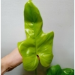 Philodendron yellow violin
