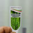 Rosmarinus officinalis