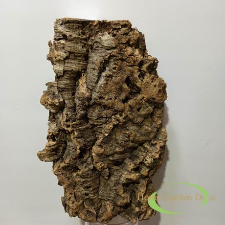 Parafa kéreg 35 cm